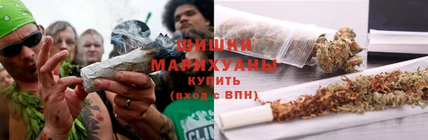 крисы Наволоки