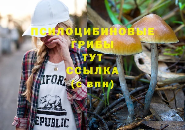 ECSTASY Волосово