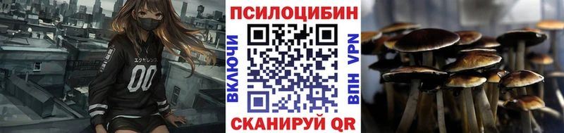 Псилоцибиновые грибы мицелий  купить закладку  blacksprut как зайти  Десногорск 
